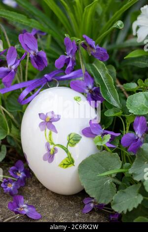 osterdekoration mit osterei und violettem Süßviolett Stockfoto