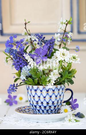 Frühlingsblumen in blau und weiß in Vintage-Kaffeetasse als Dekoration Stockfoto