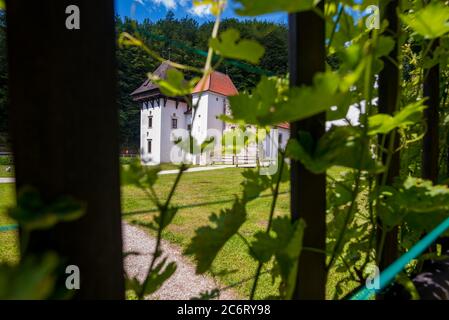 Weinrebe und Eingang zum Kartäuserkloster Zicka kartuzija (ZICE Kartause) Slowenien Stockfoto