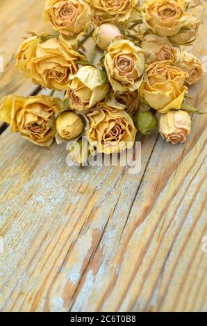 Trockene Rosen auf altem Holzhintergrund. Getrocknete Strauß Rosenblüten. Transienz des Zeitkonzepts Stockfoto