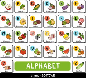 Vektor-Farbe Alphabet mit Obst und Gemüse auf weißem Hintergrund. Quadratische Karte mit Buchstaben A-Z Stock Vektor