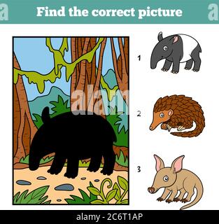 Finden Sie das richtige Bild, Spiel für Kinder. Malaiischer Tapir und Hintergrund Stock Vektor