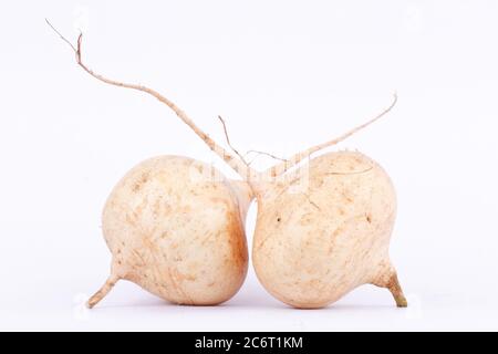 Yam Bohne ( Jicama ) ist Zwiebelwurzel pflanzliche Frucht auf dem weißen Hintergrund Stockfoto