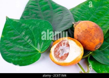 Betelnuss und Betelblatt auf weißem Hintergrund isoliert Stockfoto