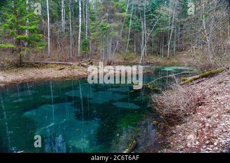 Saula blauen Quellen Teich (siniallikas). Ruhige blaue und grüne Grade von klarem Wasser und Algen. Stockfoto