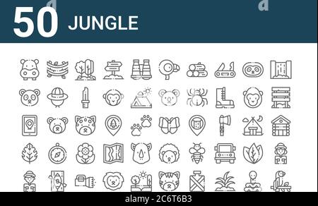 Set von 50 Dschungel-Icons. Skizzieren dünne Linie Symbole wie Papagei, Explorer, Blatt, Smartphone, Pandabär, Reben, Schmetterling, Flamingo, jaguar, Igel Stock Vektor