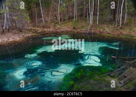 Saula blauen Quellen Teich (siniallikas). Ruhige blaue und grüne Grade von klarem Wasser und Algen. Stockfoto