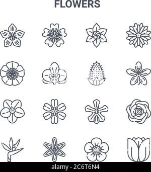 Set von 16 Blumen Konzept Vektor-Linie Symbole. 64x64 dünne Strichikonen wie Blume, Blume, Blume, Stock Vektor