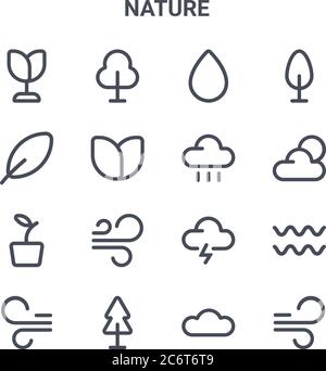 Satz von 16 Natur Konzept Vektorlinien-Symbole. 64x64 dünne Strichsymbole wie Baum, Blatt, Wetter, Sturm, Baum, Wind, Daten, Regen, Baum Stock Vektor