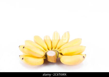 Frische Hand von goldenen Bananen auf weißem Hintergrund gesunde Pisang Mas Banana Obst Essen isoliert Stockfoto