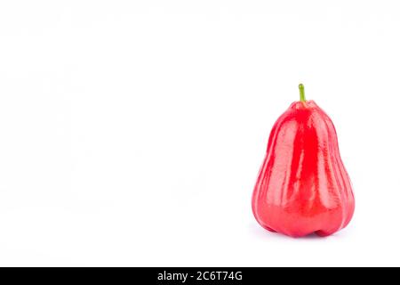 Reife rote Rose Apfel auf weißem Hintergrund gesunde Rose Apfel Obst Essen isoliert Stockfoto