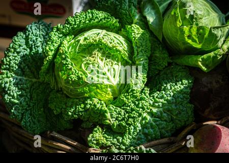 Ein leuchtend grüner wirsing-Kohl zum Verkauf an einem Marktstand Stockfoto