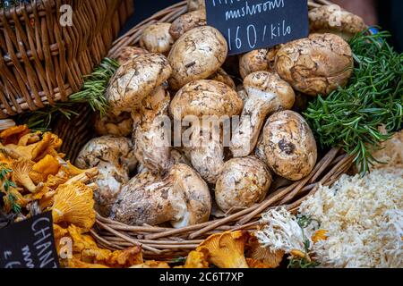 Ein Korb mit Matsutake Pilzen zum Verkauf an einem Marktstand Stockfoto