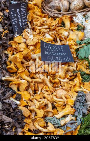 Eine Vielzahl von Pilzen zum Verkauf auf einem Marktstand Stockfoto