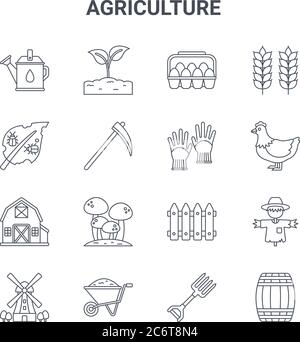 Satz von 16 Landwirtschaft Konzept Vektor-Linien-Symbole. 64x64 dünne Strich Symbole wie Pflanze, Schädling, Huhn, Zaun, Schubkarre, Wein Fass, Pitchfork, glo Stock Vektor