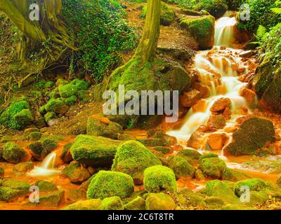 Kaskaden von Mineralwasser. Roter Eisenschlamm von Sedimenten auf großen Felsbrocken zwischen grünen Farnen Stockfoto
