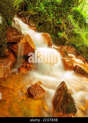 Kaskaden von Mineralwasser. Roter Eisenschlamm von Sedimenten auf großen Felsbrocken zwischen grünen Farnen Stockfoto