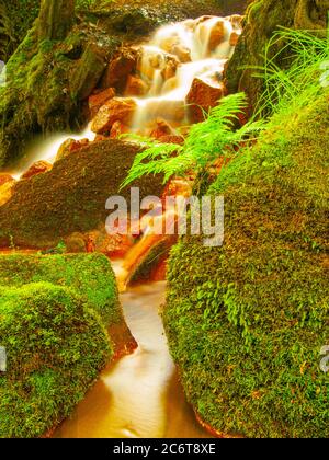 Roter Wasserfall Sucha Kamenice in der Tschechisch-sächsischen Schweiz. Rote Eisensedimente auf großen Felsbrocken zwischen grünen Farnen. Stockfoto