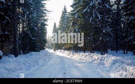 Waldstraße und ein Schneemobil fahren auf sie im Winter, Finnland Stockfoto