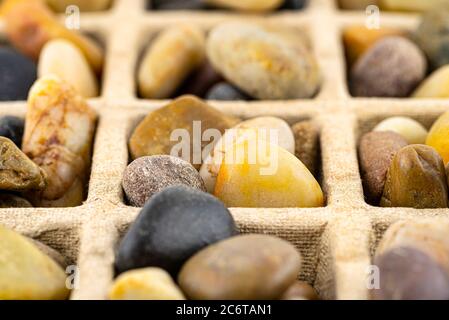 Makro-Shooting von Karton Extruder mit bunten dekorativen Kieselsteinen gefüllt, konzeptionelle Foto, Raum für Text, isoliert auf einem weißen Hintergrund. Stockfoto
