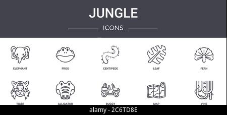 Dschungel-Konzept-Linie Symbole gesetzt. Enthält Symbole für Web, Logo, ui/ux wie Frosch, Blatt, Tiger, Buggy, Karte, Rebe, Farn, Tausendfüßler Stock Vektor