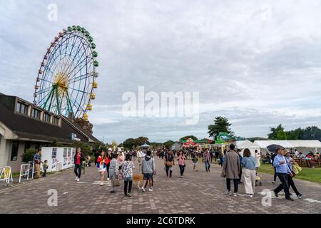 Touristen wandern und radeln im Hitachi Seaside Park. Stockfoto