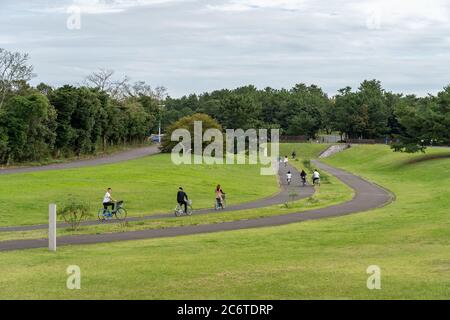 Touristen wandern und radeln im Hitachi Seaside Park. Stockfoto
