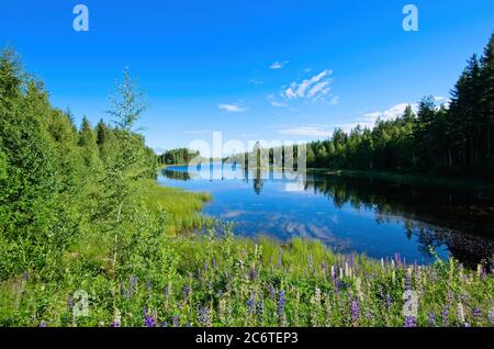 Wunderschöne Landschaften mit ruhigen Seen und Wäldern in Dalarna, Schweden. Stockfoto