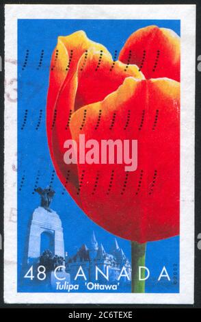 KANADA - UM 2002: Stempel gedruckt von Kanada, zeigt Tulip Ottawa, um 2002 Stockfoto