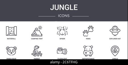 Dschungel-Konzept-Linie Icons Set. Enthält Symbole für Web, Logo, ui/ux wie Camping Zelt, Pfoten, Pandabär, Taschenlampe, Nilpferd, Dschungel, ex Stock Vektor