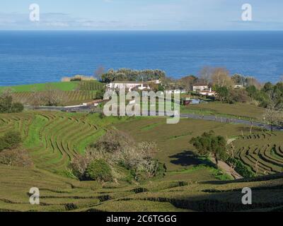 SAO MIGUEL INSEL, AZOREN, PORTUGAL, 24. Dezember 2018: Blick auf Teeplantage Reihen und Gebäude der Gorreana Teefabrik Cha Gorreana mit Meer auf Stockfoto