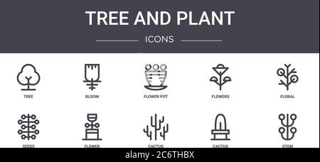 Baum und Pflanze Konzept Linie Symbole Set. Enthält Symbole für Web, Logo, ui/ux wie Blüte, Blumen, Samen, Kaktus, Kaktus, Stamm, Blumen, Blume Stock Vektor