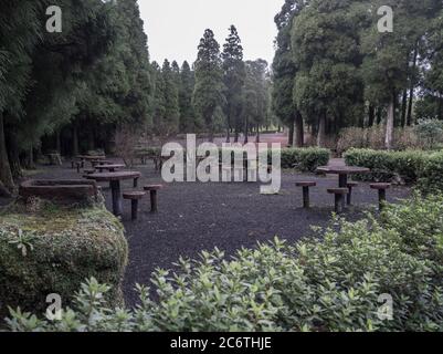 Alte verblasste Moos bedeckt leeren Picknick-Tisch und Stühle auf Ruhebereich im Wald rund um See lagoa do canario. sao miguel Azoren, gedämpfte Farben Stockfoto