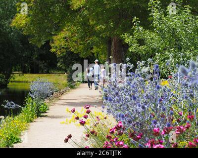 Oxford, Großbritannien. Juli 2020. Ein warmer, sonniger Tag bringt die Besucher in den Botanischen Garten der Universität Oxford. Kredit: Angela Swann/Alamy Live Nachrichten Stockfoto