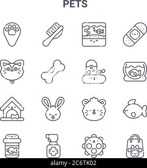 Satz von 16 Haustieren Konzept Vektor-Linien-Symbole. 64x64 dünne Strichsymbole wie PET-Pinsel, Katze, Fischschale, Hamster, Spray, Einkaufstasche, Ball, Wasser, Wunde Stock Vektor
