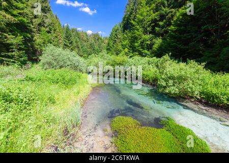 Der Schwarze Fluss im Nationalpark Plitvicer Seen, Kroatien Stockfoto