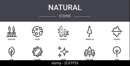 Natürliche Konzept Linie Symbole Set. Enthält Symbole für Web, Logo, ui / ux wie Mond, Regenschirm, Blatt, Sterne, Kiefer, Baum, Eisberg, Bambus Stock Vektor