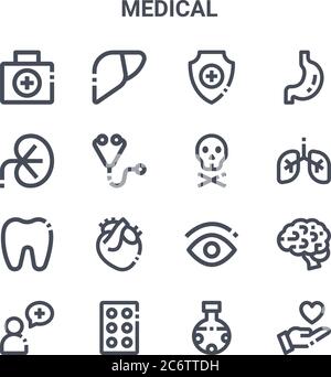 Satz von 16 medizinischen Konzept Vektorlinien-Symbolen. 64x64 Symbole für dünne Schlaganfälle wie Leber, Niere, Lunge, Auge, Tabletten, Gesundheitswesen, Chemie, Schädel, Magen Stock Vektor