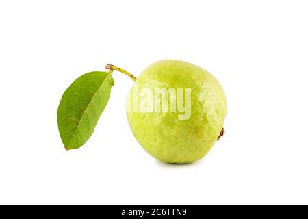 Guava ist tropische Früchte auf weißem Hintergrund Obst Landwirtschaft Lebensmittel isoliert Stockfoto