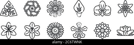 Set von 12 dünnen Umrisssymbolen wie Blume, Blume, Blume, für Web, mobil Stock Vektor