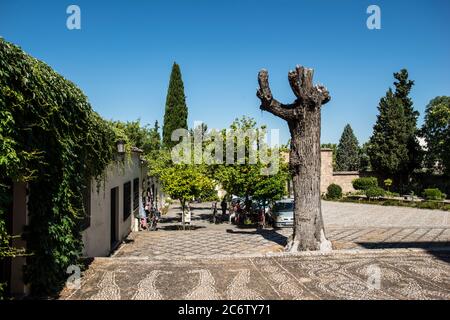 Kloster unserer Lieben Frau von der Himmelfahrt 'La Cartuja' Stockfoto