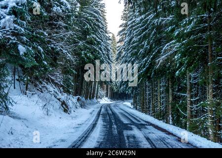 Wunderschöne schneebedeckte Straße, die sich bei Tageslicht durch immergrünen Wald schlängelt, Naturpark Livradois Forez, Auvergne, Frankreich Stockfoto