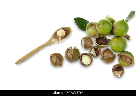 Gruppe von geschälten und ungeschälten Macadamianüssen in Sack auf weißem Hintergrund Stockfoto