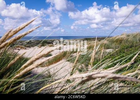 Blick von Sandy Dunes an der Küste der Nordsee und blauer Himmel mit Wolken in Den Haag Niederlande. Stockfoto