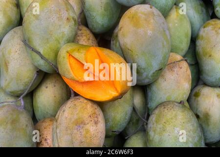 Saisonal köstliche süße Mango Shop Stockfoto