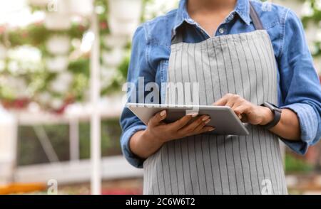 Moderne Geräte für Gewächshaus. Mädchen in Schürze und Smart Uhr hält Tablet und steuert das Klima Stockfoto