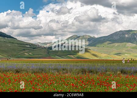 Das Dorf Castelluccio di Norcia wurde durch das Erdbeben von 2016 zerstört Stockfoto