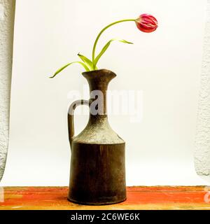 Einzigartiges Stillleben mit einer roten Tulpe in einer Vintage-Keramikvase vor einem minimalistischen Hintergrund Stockfoto