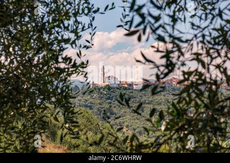 Civezza und San Marco Evangelista Kirche von den Olivenzweigen eingerahmt. Alte mittelalterliche Stadt im Viertel Imperia, Ligurien. Italienische Riviera. Bekannt für Kult Stockfoto