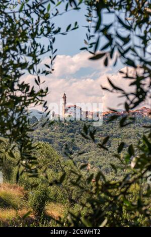 Civezza und San Marco Evangelista Kirche von den Olivenzweigen eingerahmt. Alte mittelalterliche Stadt im Viertel Imperia, Ligurien. Italienische Riviera. Bekannt für Kult Stockfoto